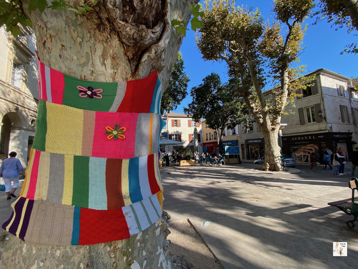 Calle Saint Remy de Provenza