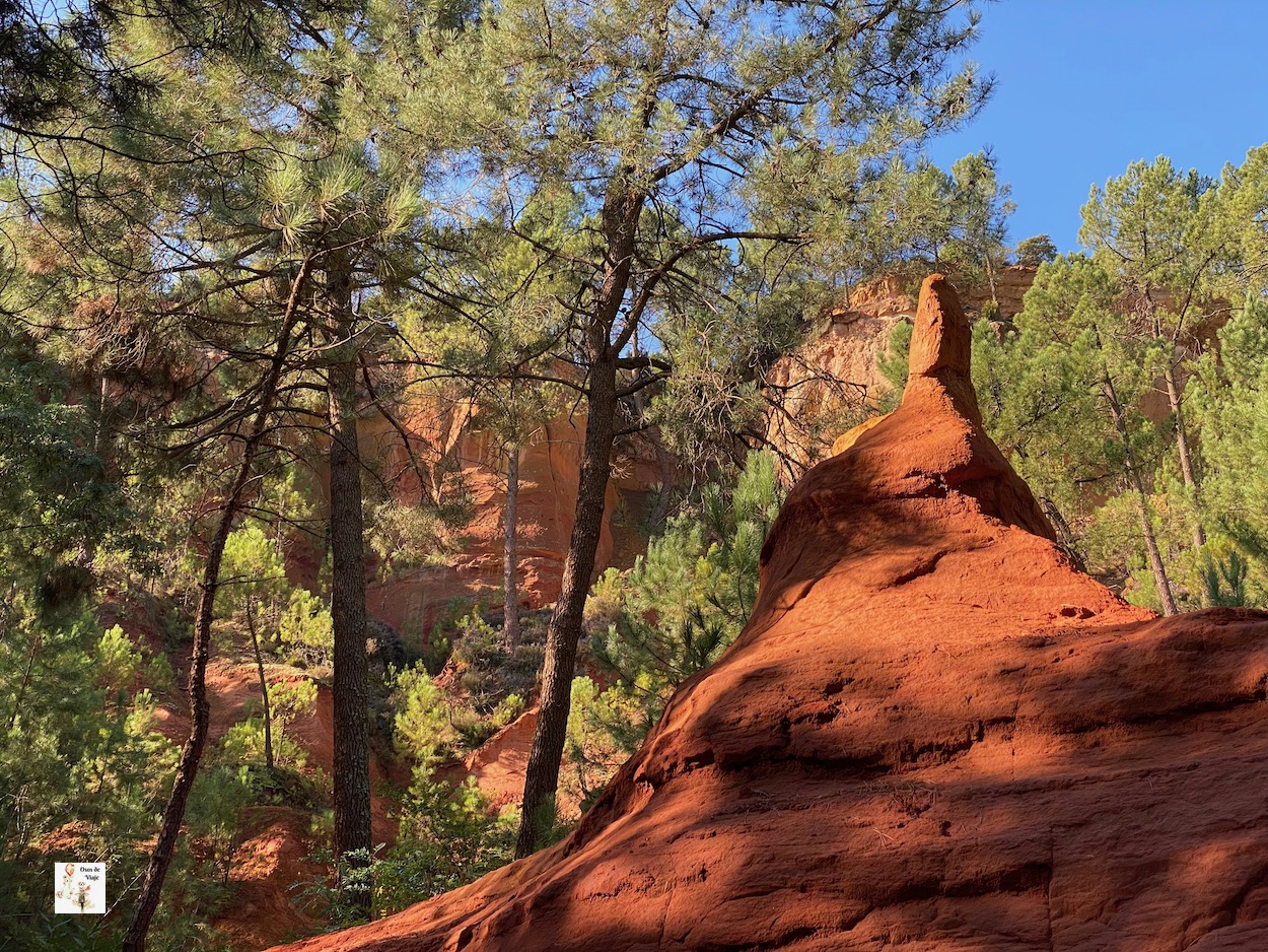 Claustro Saint Paul de Mausole