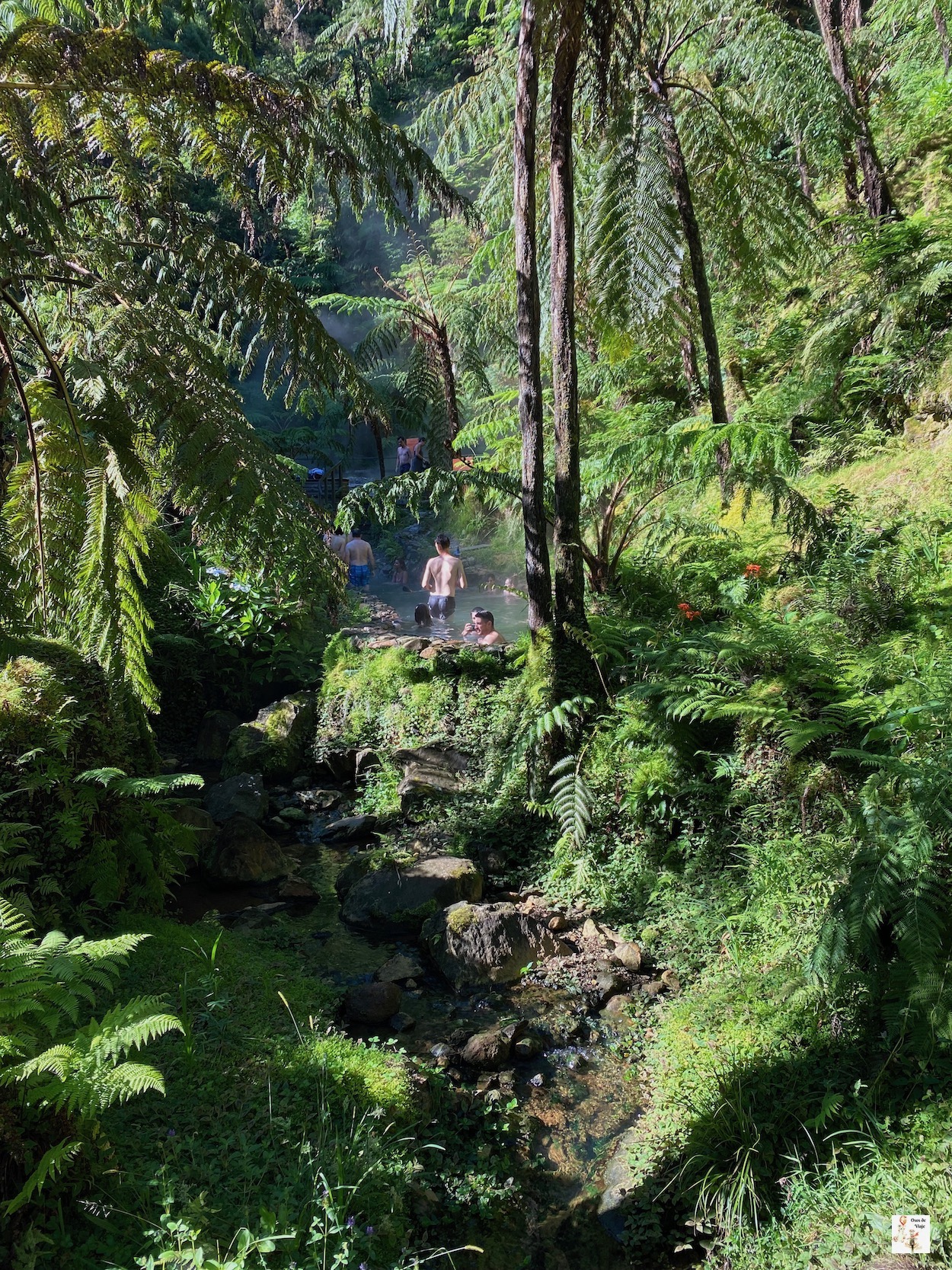 Portas da Cidades (Ponta Delgada)