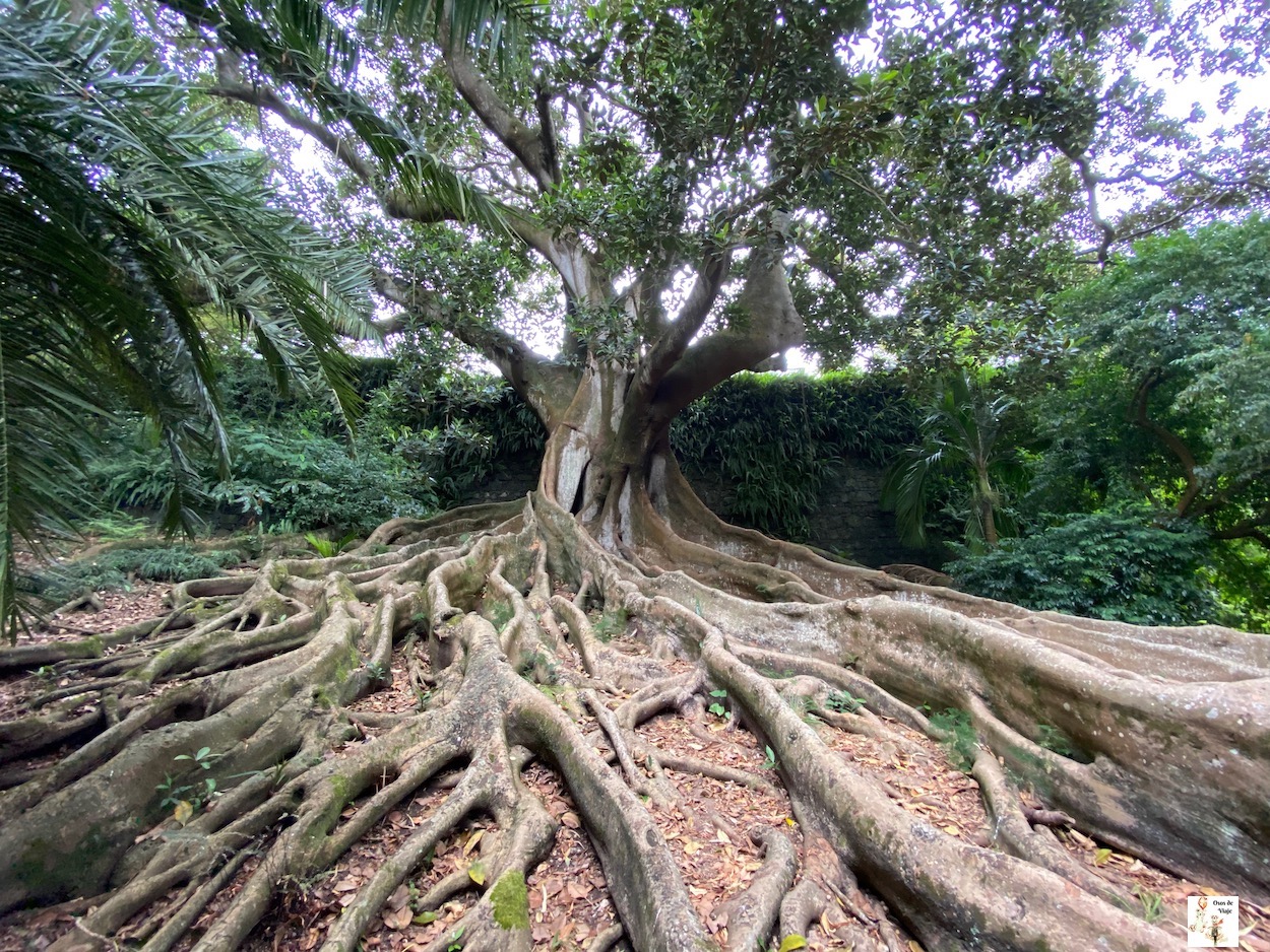 Baños termales de Caldeira Velha