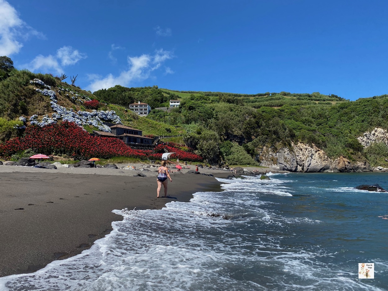 Campos de té (Sao Miguel)