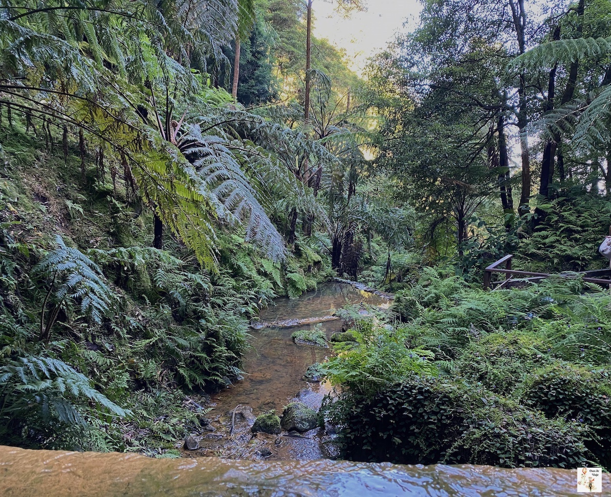 Baños termales de Caldeira Velha