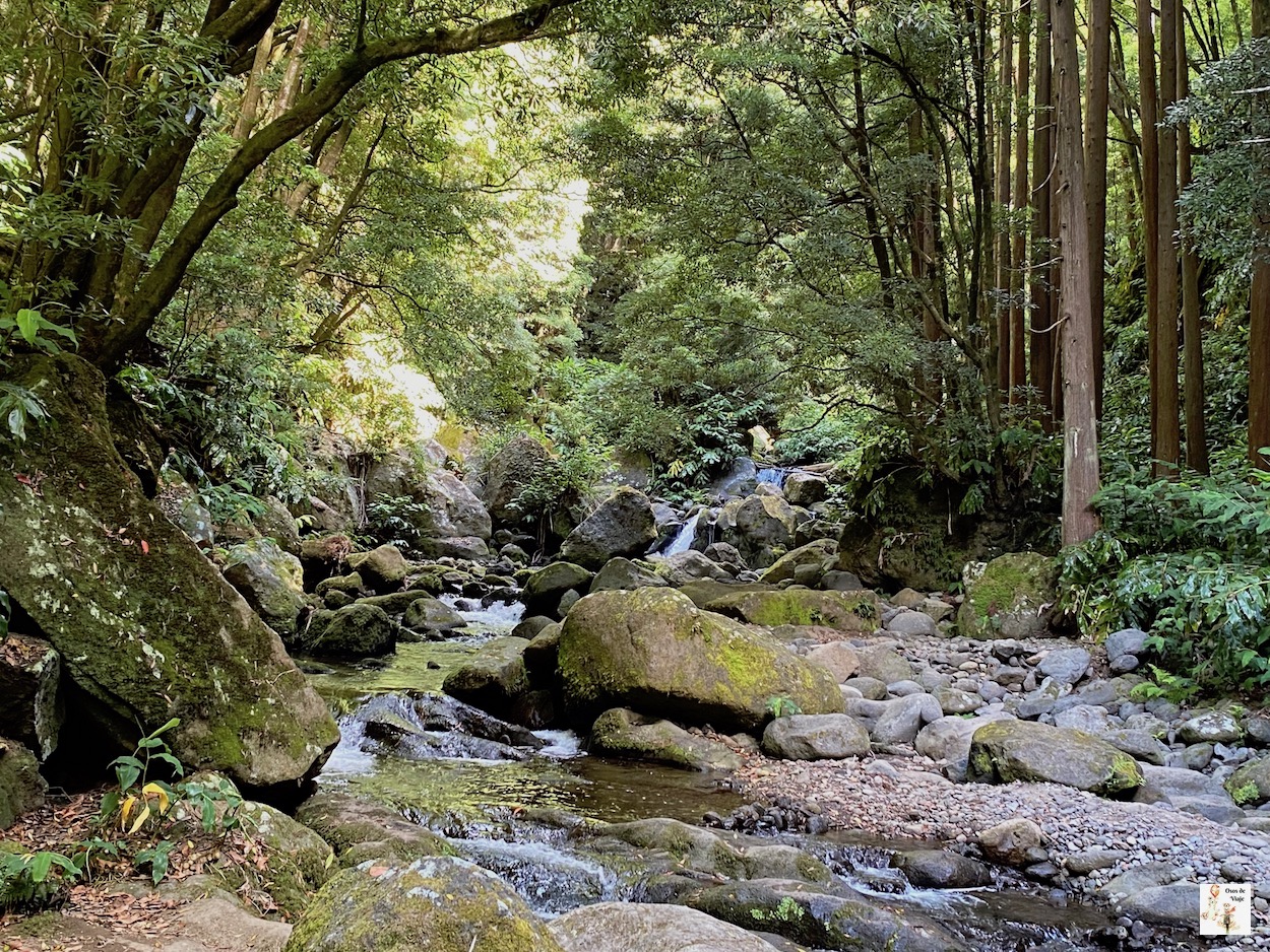 Salto de Prego (Faial da Terra)