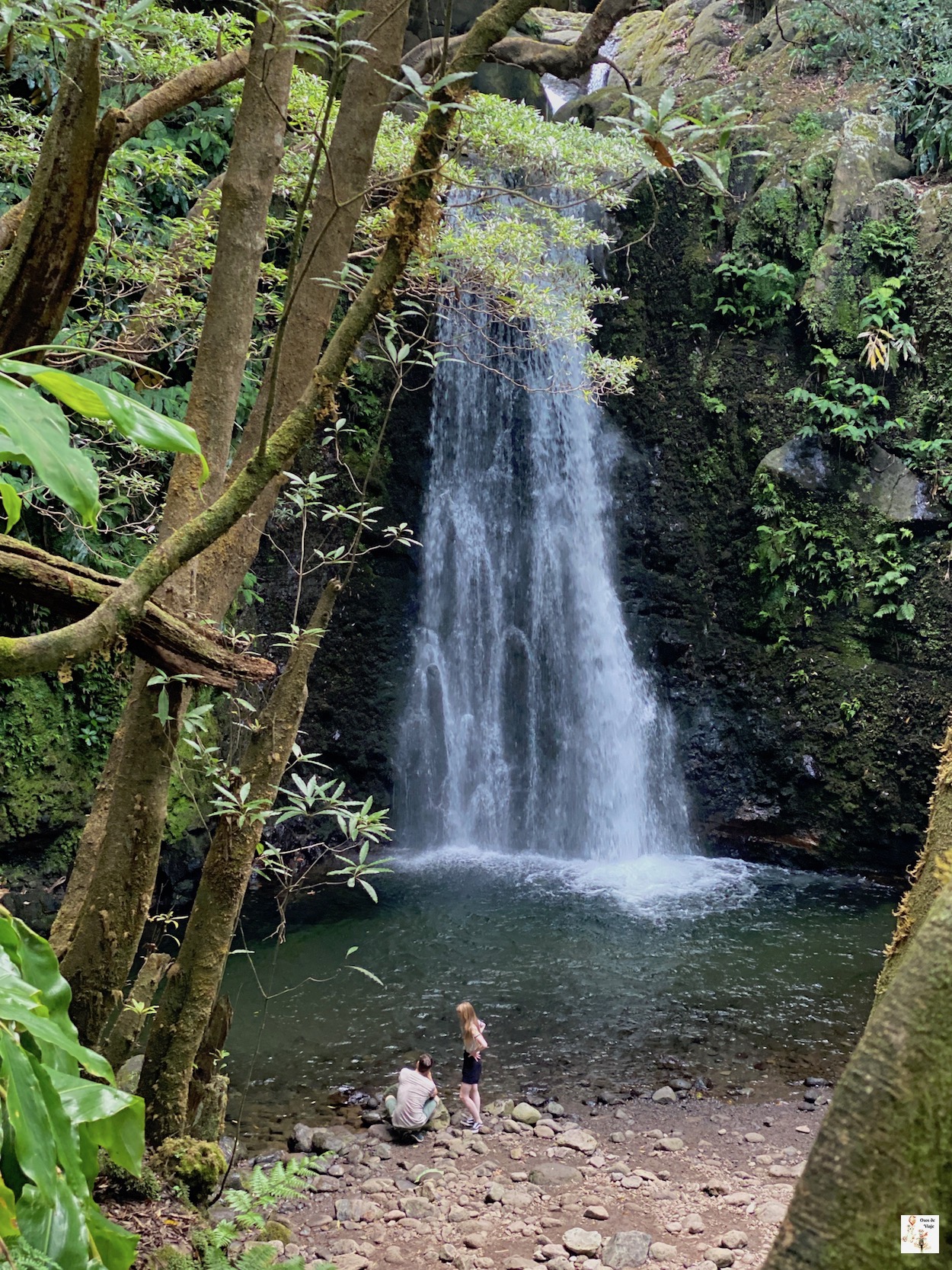Salto de Prego (Faial da Terra)