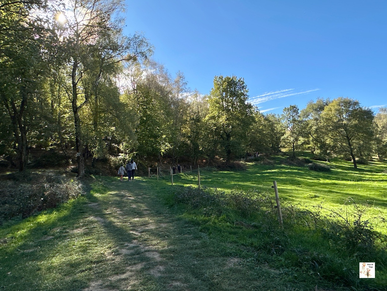 Camino hacia las Rocas Encantadas