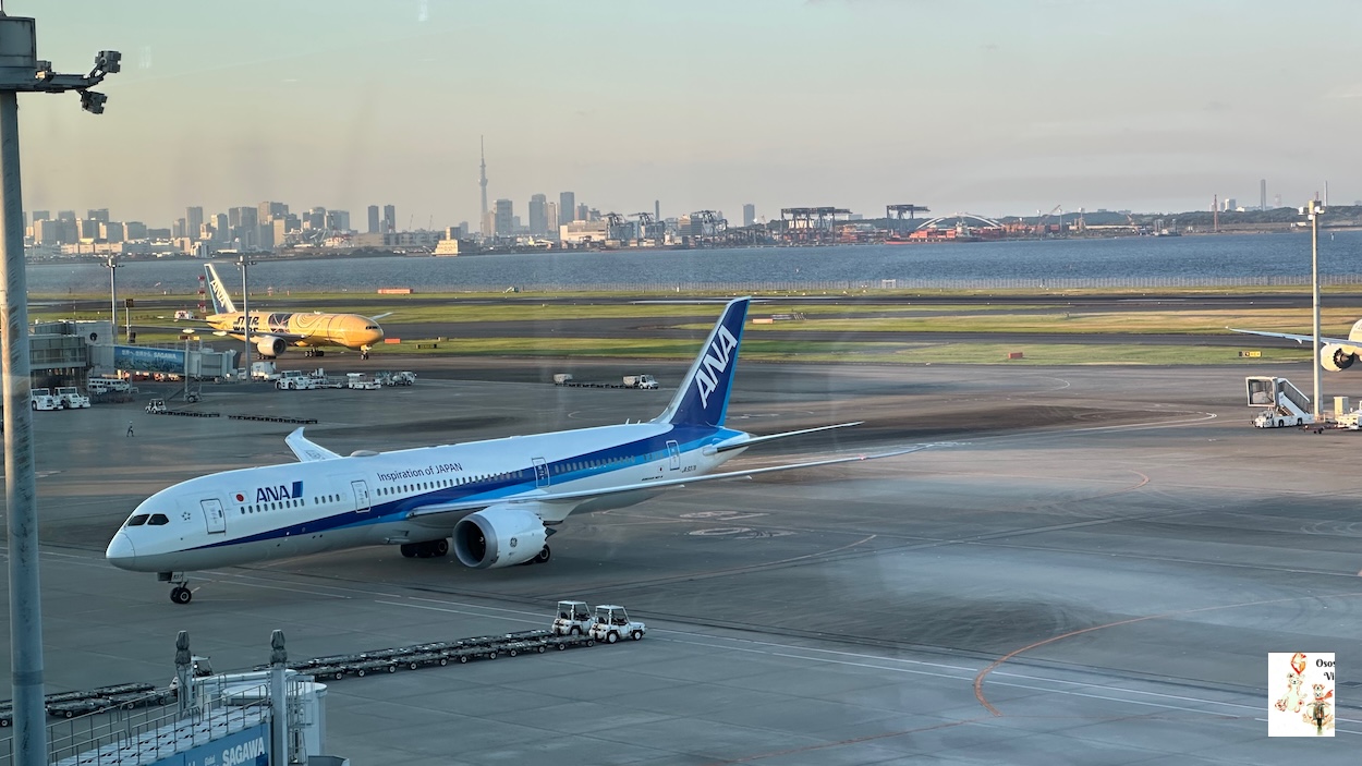 Vista desde Haneda