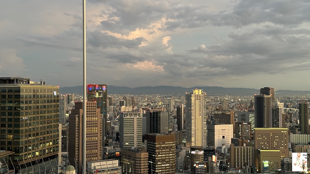 Vistas de Osaka